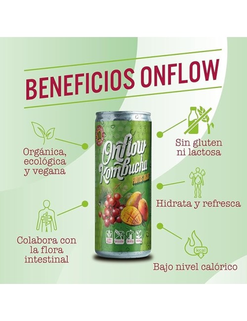 Onflow Kombucha Frutos Rojos 20 UDS de 25 cl Ecológico,Sin Gluten,Sin Lactosa y Orgánico y Vegano.